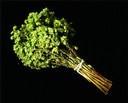 G 10: Object/ Oregano