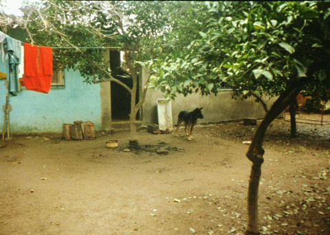 B 1: Photo/postcard size/landscape/colour/the forecourt of my parents' house