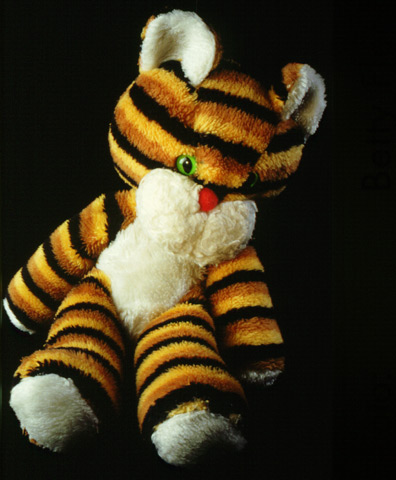 C 1: objet / Tigre en peluche