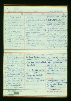 C 7: objet (document / reproduction) / Journal de la mère