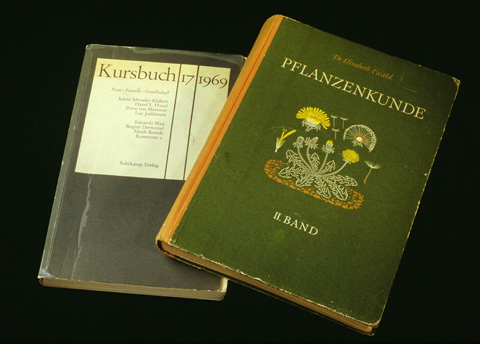 D 2: Oggetto/ Kursbuch e manuale di fitologia